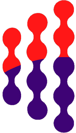 AuctuCel Logo