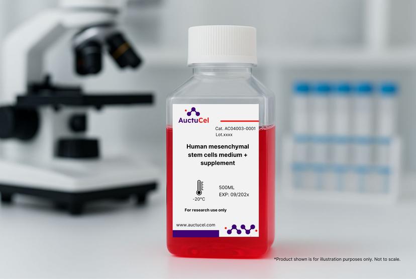 Human mesenchymal stem cells medium + supplement
